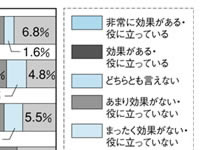 �����֥����Ȥθ��̤�´�